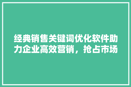 经典销售关键词优化软件助力企业高效营销，抢占市场先机
