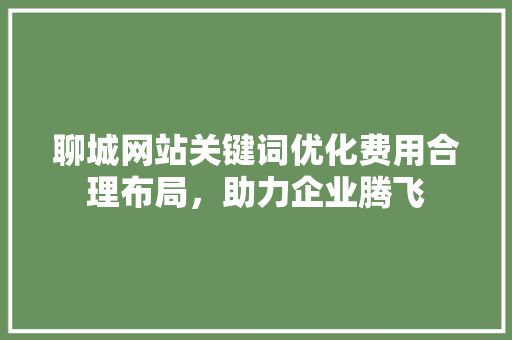 聊城网站关键词优化费用合理布局，助力企业腾飞