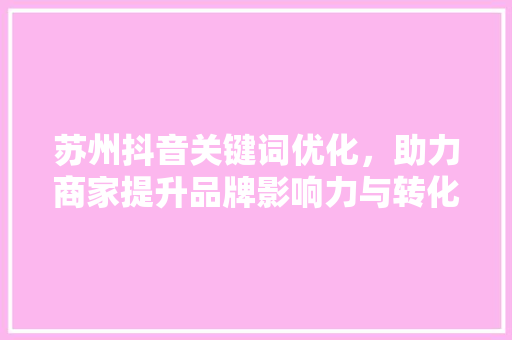 苏州抖音关键词优化，助力商家提升品牌影响力与转化率