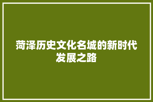 菏泽历史文化名城的新时代发展之路