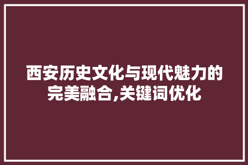 西安历史文化与现代魅力的完美融合,关键词优化