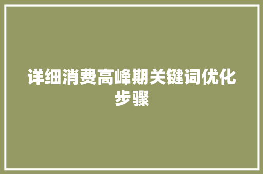 详细消费高峰期关键词优化步骤