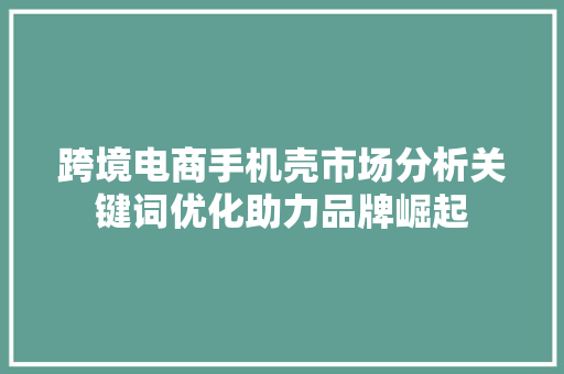 跨境电商手机壳市场分析关键词优化助力品牌崛起