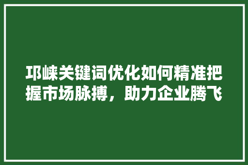 邛崃关键词优化如何精准把握市场脉搏，助力企业腾飞