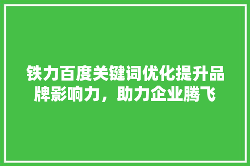 铁力百度关键词优化提升品牌影响力，助力企业腾飞