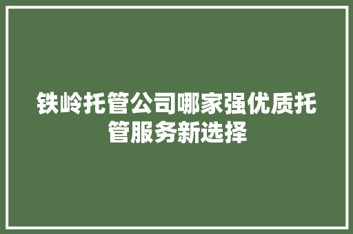 铁岭托管公司哪家强优质托管服务新选择 服务器/数据库