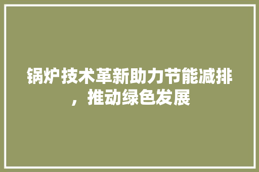 锅炉技术革新助力节能减排，推动绿色发展