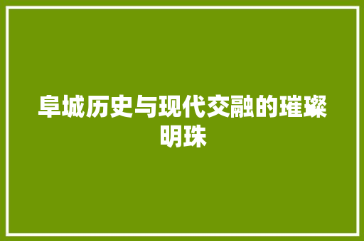 阜城历史与现代交融的璀璨明珠