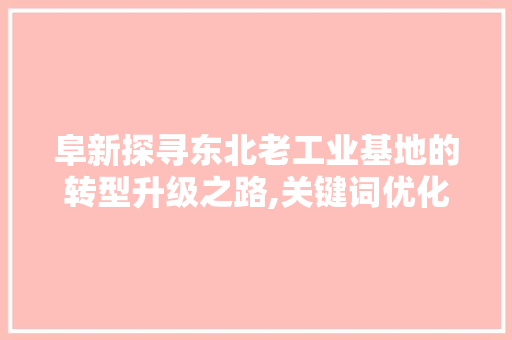 阜新探寻东北老工业基地的转型升级之路,关键词优化视角