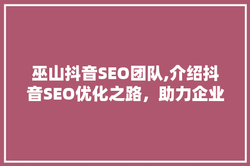 巫山抖音SEO团队,介绍抖音SEO优化之路，助力企业品牌腾飞