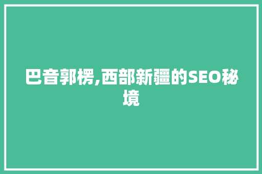 巴音郭楞,西部新疆的SEO秘境