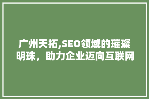 广州天拓,SEO领域的璀璨明珠，助力企业迈向互联网新高峰