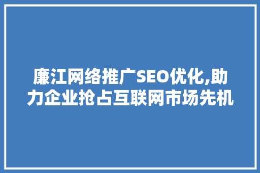 廉江网络推广SEO优化,助力企业抢占互联网市场先机