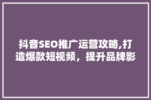 抖音SEO推广运营攻略,打造爆款短视频，提升品牌影响力