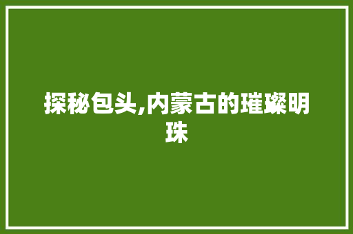 探秘包头,内蒙古的璀璨明珠