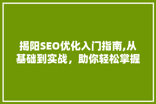 揭阳SEO优化入门指南,从基础到实战，助你轻松掌握搜索引擎优化方法