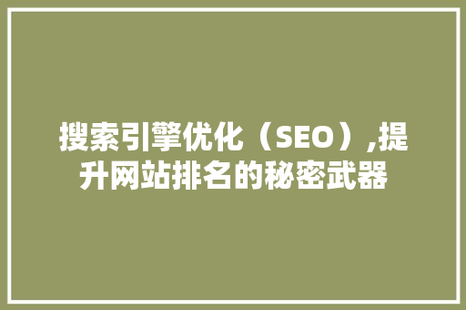 搜索引擎优化（SEO）,提升网站排名的秘密武器 建站教程