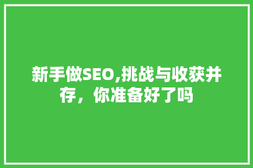 新手做SEO,挑战与收获并存，你准备好了吗