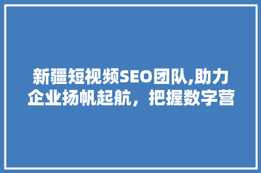 新疆短视频SEO团队,助力企业扬帆起航，把握数字营销新机遇 友链在线