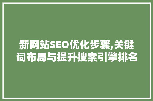 新网站SEO优化步骤,关键词布局与提升搜索引擎排名之路 WordPress教程