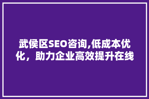 武侯区SEO咨询,低成本优化，助力企业高效提升在线影响力
