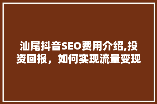 汕尾抖音SEO费用介绍,投资回报，如何实现流量变现
