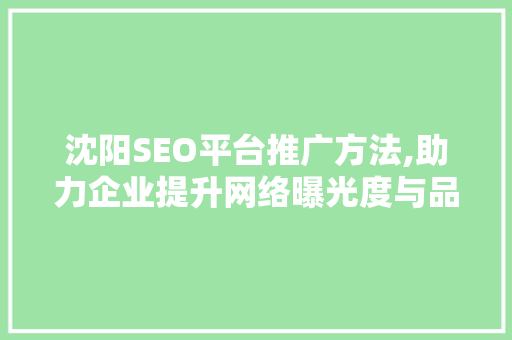沈阳SEO平台推广方法,助力企业提升网络曝光度与品牌影响力