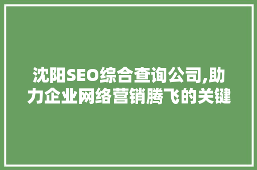 沈阳SEO综合查询公司,助力企业网络营销腾飞的关键一环