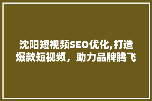 沈阳短视频SEO优化,打造爆款短视频，助力品牌腾飞