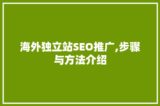 海外独立站SEO推广,步骤与方法介绍
