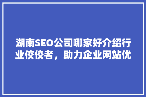 湖南SEO公司哪家好介绍行业佼佼者，助力企业网站优化升级
