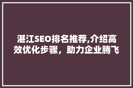 湛江SEO排名推荐,介绍高效优化步骤，助力企业腾飞 Web前端