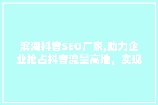 滨海抖音SEO厂家,助力企业抢占抖音流量高地，实现品牌价值最大化