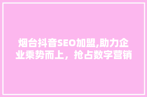 烟台抖音SEO加盟,助力企业乘势而上，抢占数字营销新风口