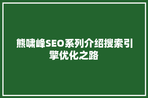 熊啸峰SEO系列介绍搜索引擎优化之路
