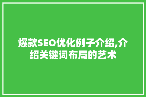 爆款SEO优化例子介绍,介绍关键词布局的艺术