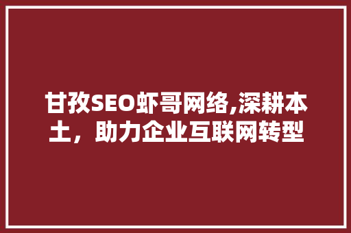 甘孜SEO虾哥网络,深耕本土，助力企业互联网转型