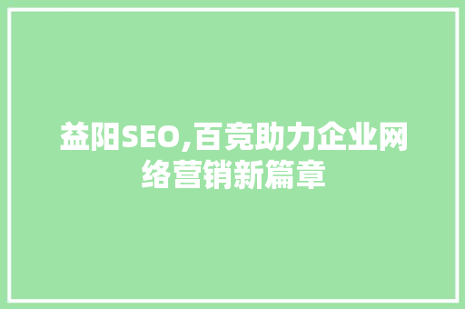 益阳SEO,百竞助力企业网络营销新篇章