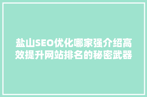 盐山SEO优化哪家强介绍高效提升网站排名的秘密武器