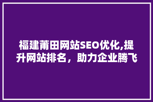福建莆田网站SEO优化,提升网站排名，助力企业腾飞