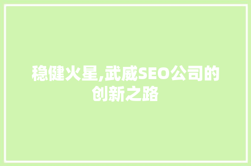稳健火星,武威SEO公司的创新之路