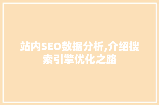 站内SEO数据分析,介绍搜索引擎优化之路