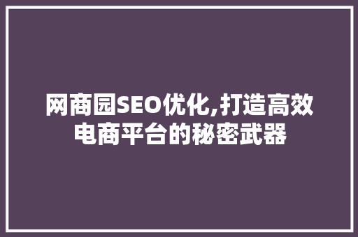 网商园SEO优化,打造高效电商平台的秘密武器