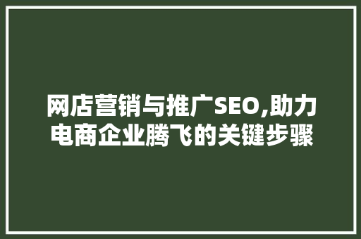 网店营销与推广SEO,助力电商企业腾飞的关键步骤