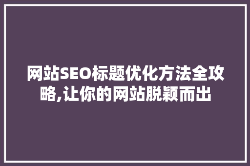 网站SEO标题优化方法全攻略,让你的网站脱颖而出