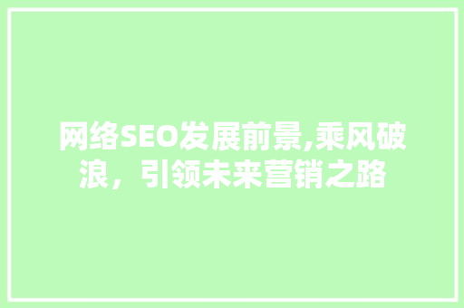 网络SEO发展前景,乘风破浪，引领未来营销之路