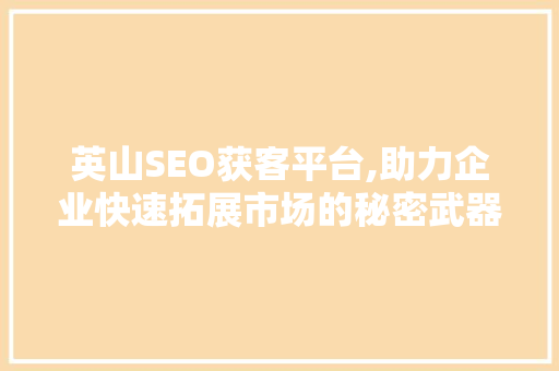 英山SEO获客平台,助力企业快速拓展市场的秘密武器