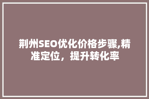 荆州SEO优化价格步骤,精准定位，提升转化率