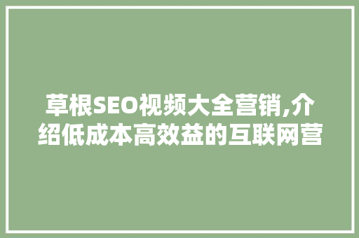 草根SEO视频大全营销,介绍低成本高效益的互联网营销之路 服务器/数据库