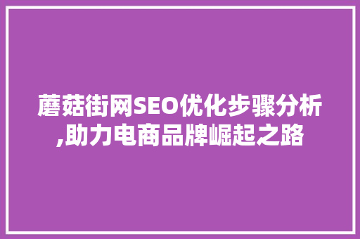 蘑菇街网SEO优化步骤分析,助力电商品牌崛起之路